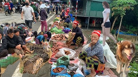 Chợ Cốc Ly Bắc Hà , bán Dê Núi/ Lợn Mán Lon Cắp Nách,