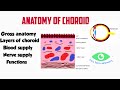 Anatomy of choroid  choroidal layers