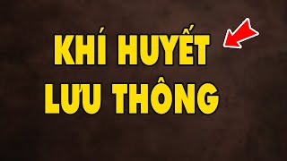 Top 14 Cách Làm Khí Huyết Lưu Thông Đặc Sắc Nhất Năm 2022