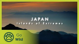 Japan: Islands of Extremes  Wildest Islands  Go Wild