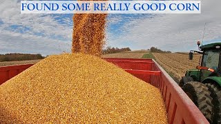 видео: Нашли действительно хорошую кукурузу картинка: Нашли действительно хорошую кукурузу
