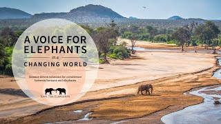 Save The Elephants Narrative - Wildlife Conservation Expo 2024