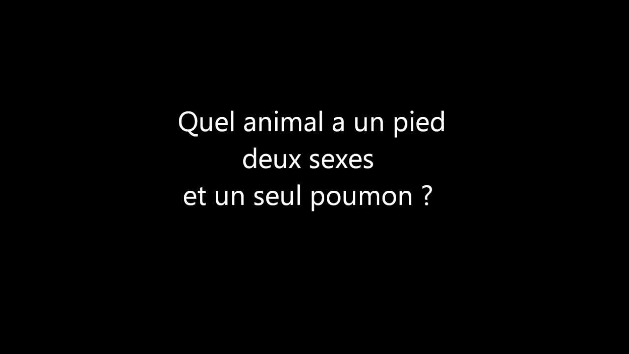 Avoir Images Enigme Devinette 276 Animal Bizarre Youtube dernière salutations