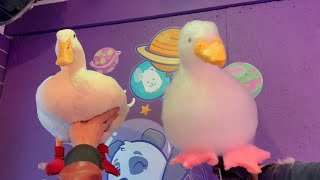 I took my duck to cotton candy (and a hat store)