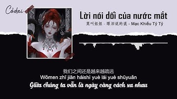 [Vietsub + Pinyin] Lời nói dối của nước mắt - Mạc Khiếu Tỷ Tỷ/ 眼泪说的谎- 莫叫姐姐