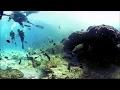 Maldives underwater 3d 360 vr experience vuze camera