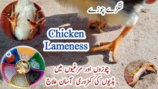 Lameness in Poultry | Calcium Deficiency in Chickens | Dr. ARSHAD