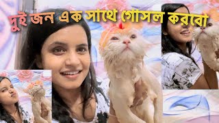 আমরা দুই জন গোসল করবো ॥কি কি করলাম গোসল করাতে গিয়ে ॥ cat shower #cat #catlover