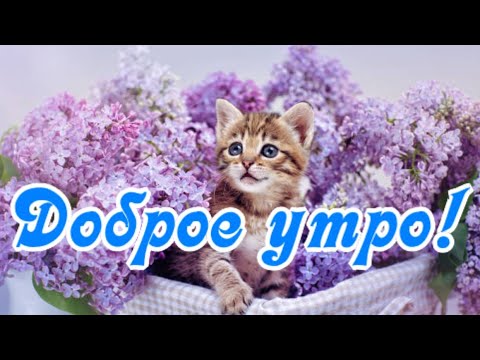 Доброе утро! Добра и удачи на весь день! Открытка С Добрым утром