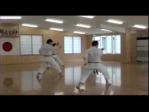 JKA KIHON TECHNIQUES