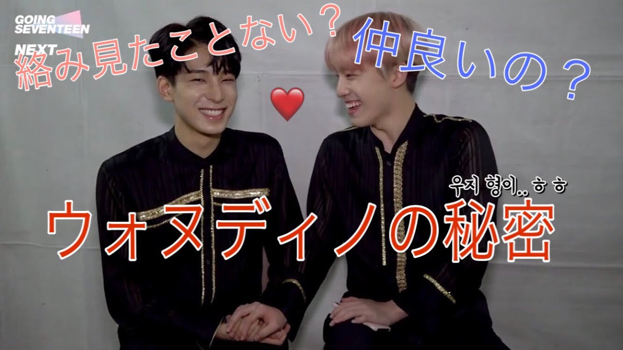 [SEVENTEEN]ディノ強火ペンウォヌさん