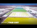 The true cost of lithium mining  true cost  insider news