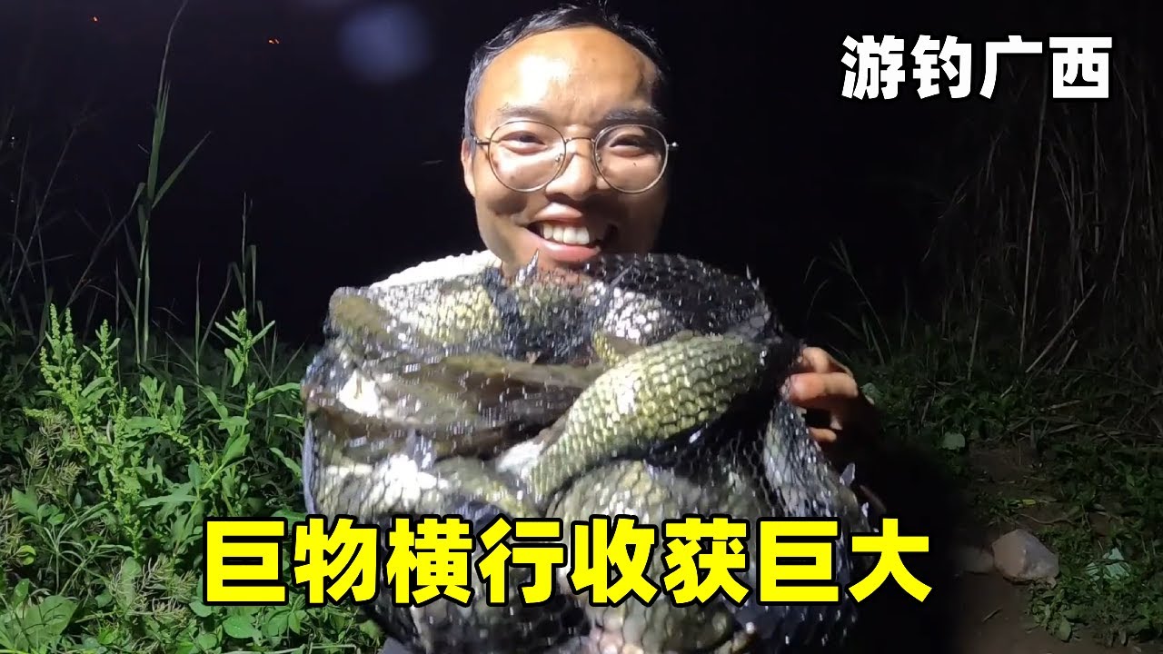 【游钓广西合集】巨物横行的相思江鱼情暴躁，早上就来打窝，果然收获巨大【真男人老黄】