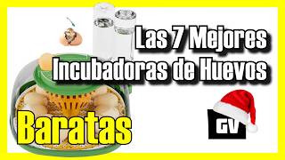Las 7 MEJORES Incubadoras de Huevos BUENAS y BARATAS de Amazon 2026