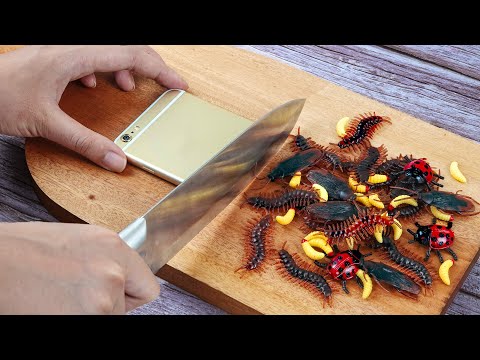 Stop Motion Cooking Make A Sandwich With Apple Stuff ASMR Funny Videos 
