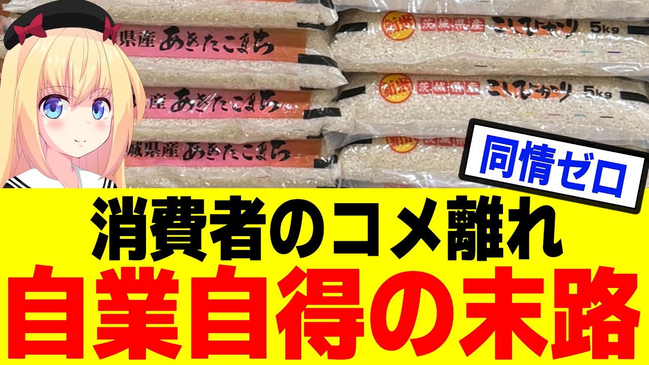 【末路】日本人のコメ離れのせいで業界が悲鳴！政府が救済して!!→自業自得だろと冷笑される。。。