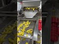 Automatic Banana Chips Frying Machine Line #frying #machine #chips