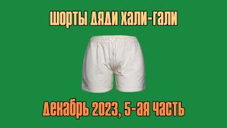 Шорты Дяди «Хали-Гали». Декабрь 2023, Часть 5