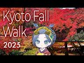 Kyoto &amp; Nara Fall Foliage 2025 | Peak Season Vlog