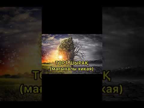 Төрт шырақ