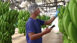 FARMS - precision agriculture software screenshot 4