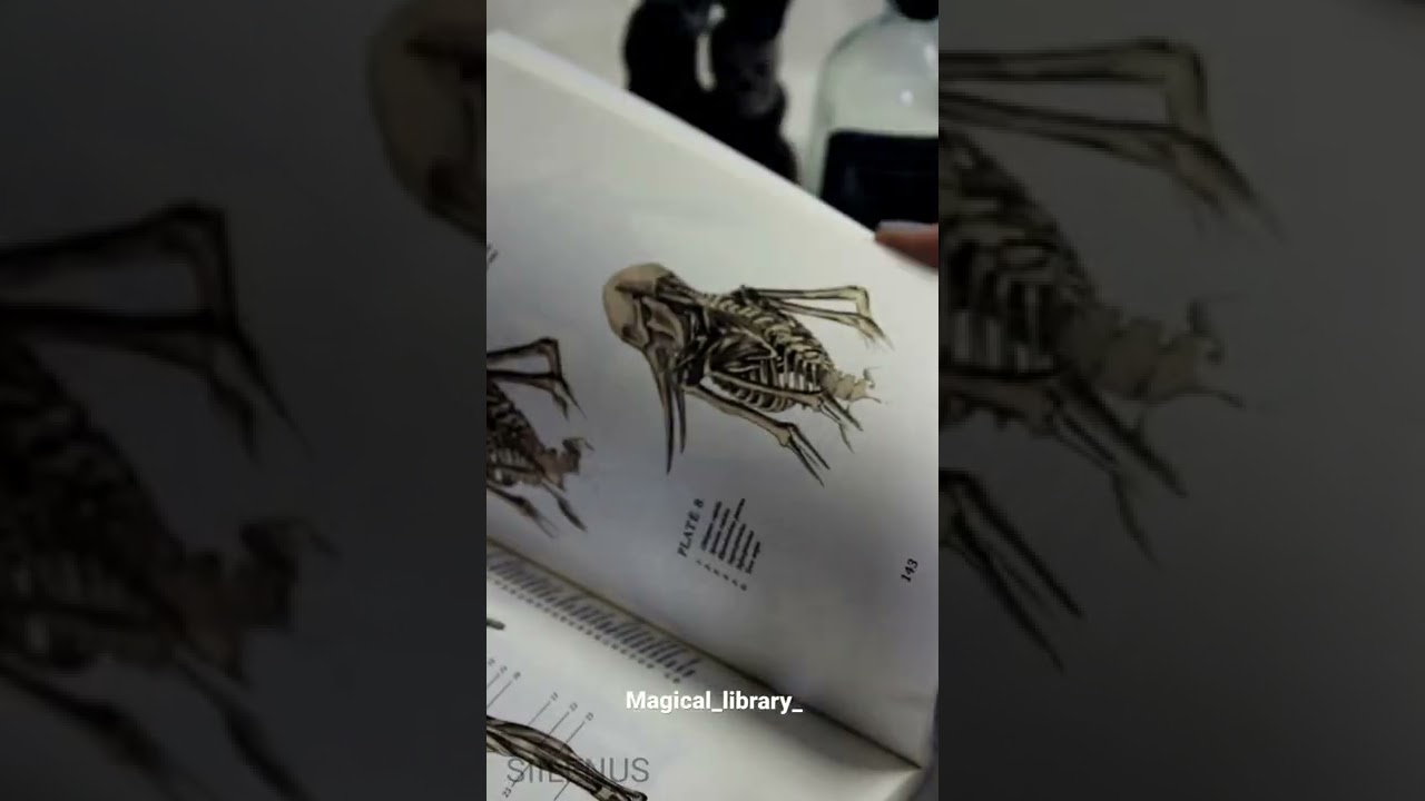 The resurrectionist the lost work of Dr. spencer black book