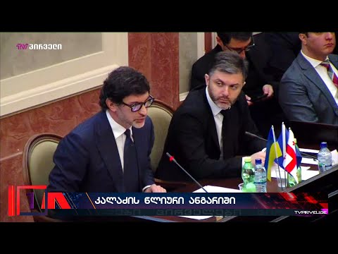 საკრებულოში წლიური ანგარიშით მისულ კახა კალაძეს კრიტიკულ კითხვებს არ ასმენინებენ