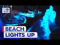 Stunning Bioluminescent Algae Lights Up South Australian Beach ✨