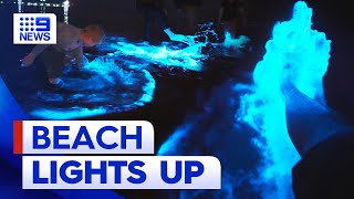 Beach glows as bioluminescent algae shows up in SA | 9 News Australia