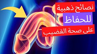 10 نصائح للحفاظ على صحة القضيب