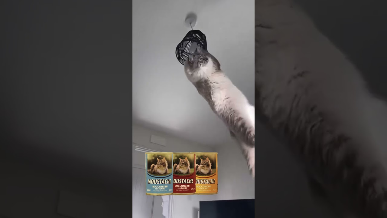 A meal that inspires performance!