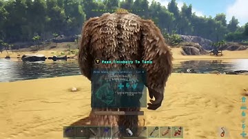 How to tame a Gigantopithecus Ark