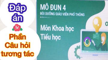 ĐÁP ÁN (PHẦN CÂU HỎI TƯƠNG TÁC ) MÔ ĐUN 4 BỒI DƯỠNG GVPT - MÔN KHOA HỌC TIỂU HỌC | Phương Vy Channel