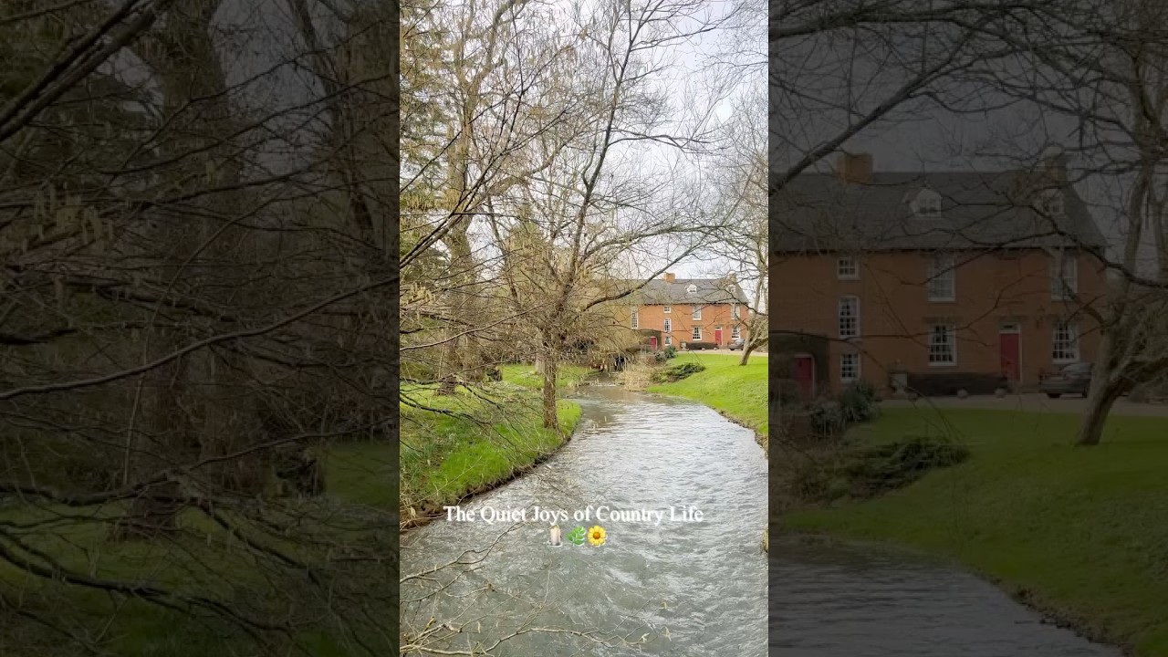 The quiet joys of country life 