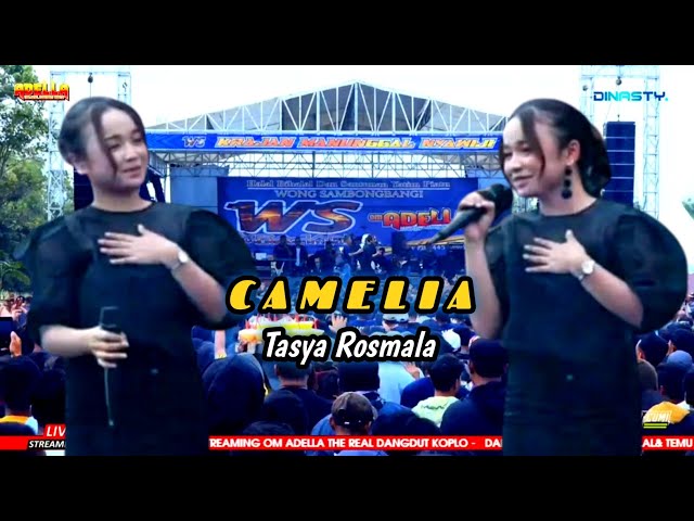CAMELIA - Tasya Rosmala - OM ADELLA live class=