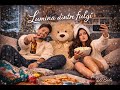 DJ Baila - Lumina dintre fulgi (Official Audio)
