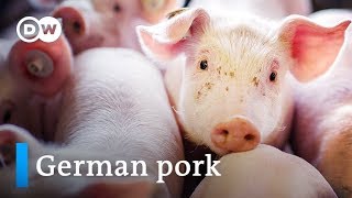 The Booming Meat Industry - Germany the world's second biggest pork exporter | Made in Germany