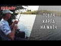 Ловля карпа матчевой удочкой