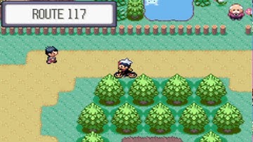 How to get Doduo to know Flail in Pokemon Ruby and Sapphire...