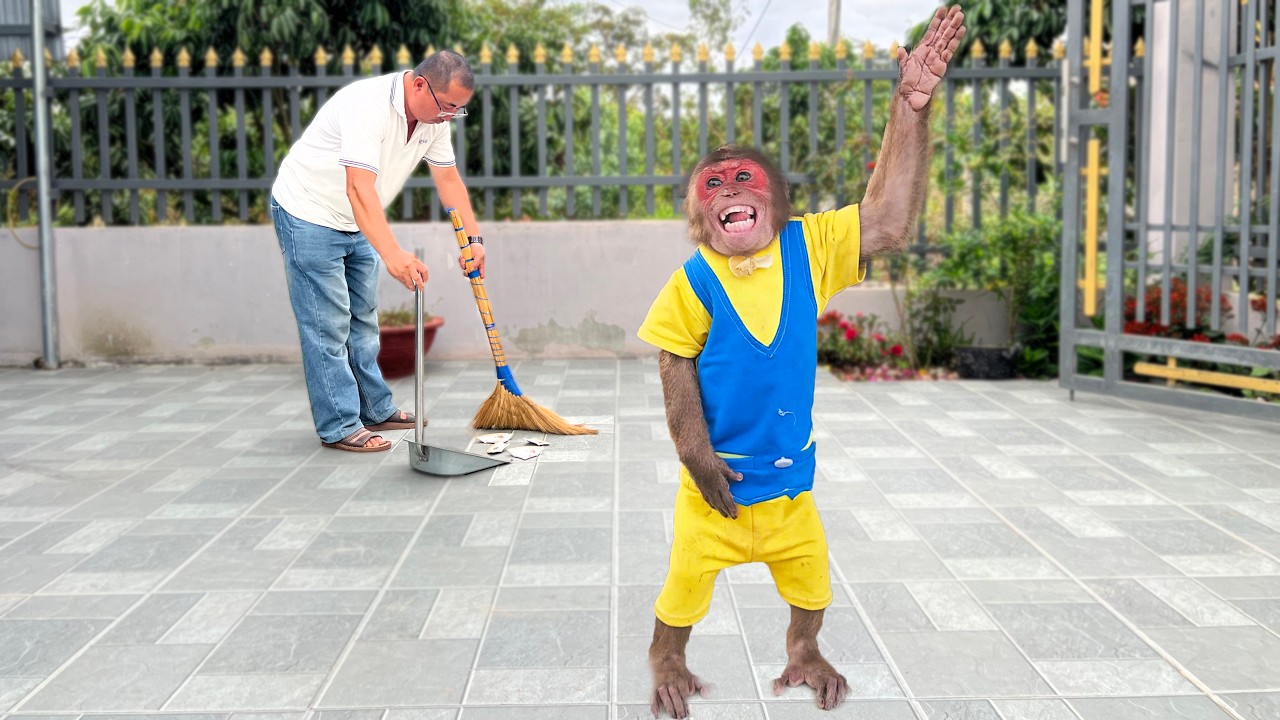 Su monkey's reaction - Will Su accept Mr. Nam's feelings?