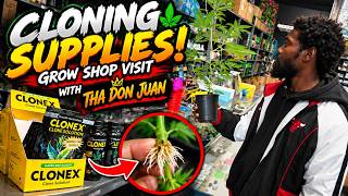 How to Clone Cannabis Plants 🌱 | Everything You Need to Get Started!