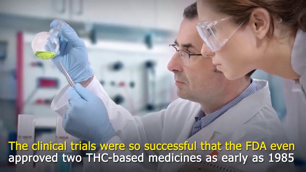 Why Does Cannabis Help with Nausea and Upset Stomachs? YouTube