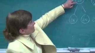 Lab 9 Cell Cycle Lecture
