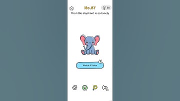 Level 67 : The Little elephant is so lonely. Brain Out