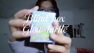 Unboxing time|| Blind box Glow turtle