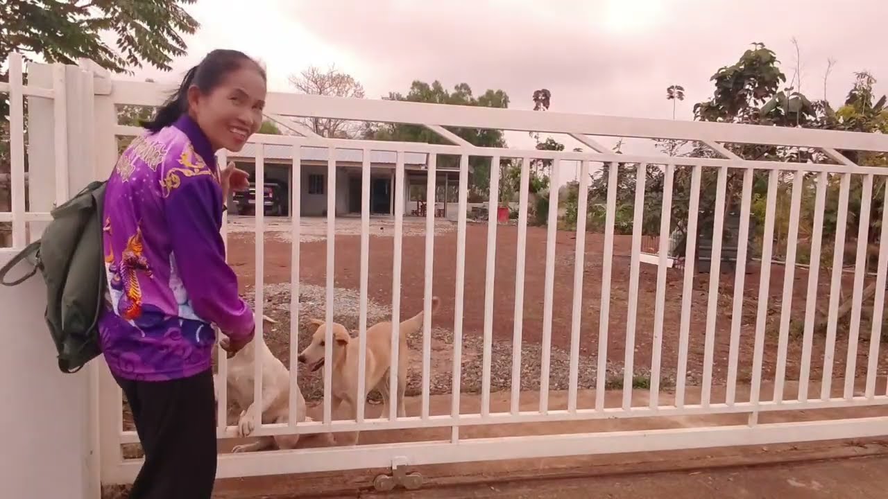 ได้เวลามาให้อาหารน้องๆ  น้องๆรอนานแล้ว