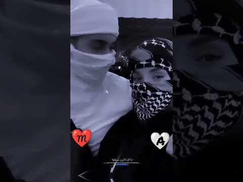 ماكو بكلبي بس هوا  ستوريات تيك توك ستوريات انستا