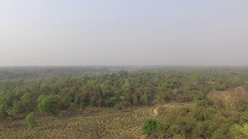 Forest Fire monitoring using Drones