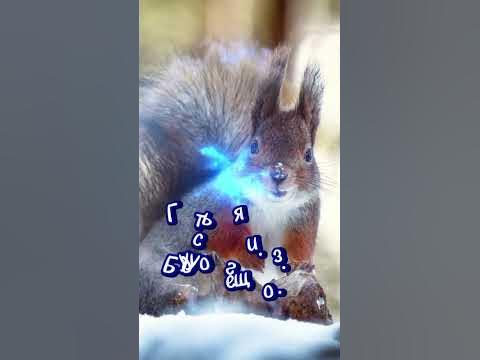 Новинки 24 - YouTube