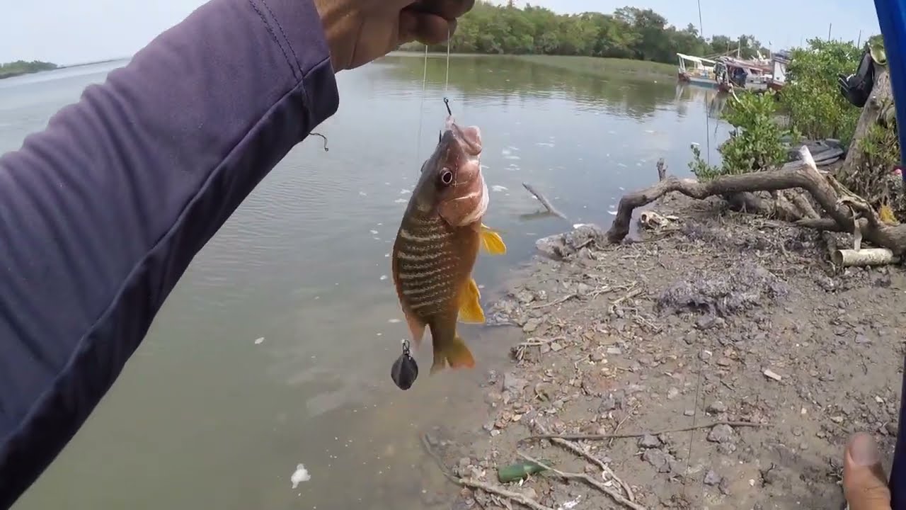 Pescaria com vara e molinete de Long Cast, no Bacanga em São Luís- Maranhão. 